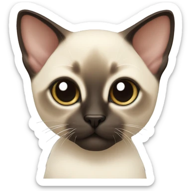 Siamese kitten sticker