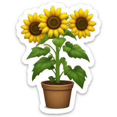 Sunflower sticker