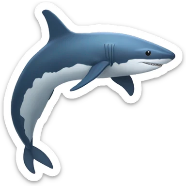 tiburon ballena sticker