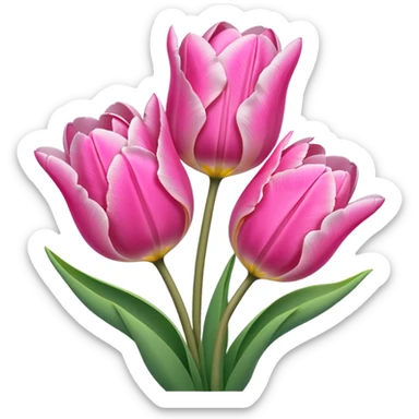 Pink tulips sticker