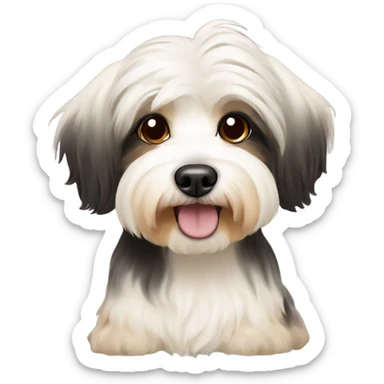 Havanese dog tricolor mostly cream sticker