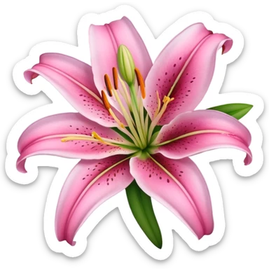 Pink lily flower sticker