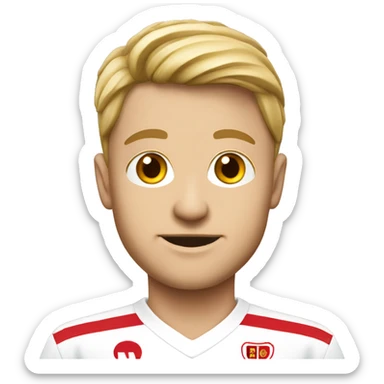 VfB Stuttgart  sticker