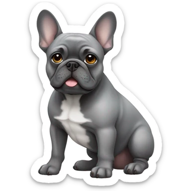 Gray French bulldog  sticker
