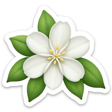 Jasmin flower  sticker