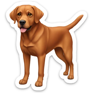 Hunting red lab  sticker