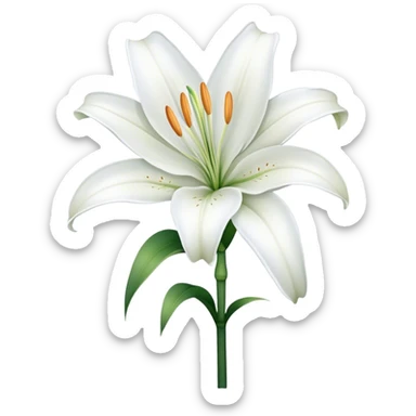 single White Lily, straight stem sticker