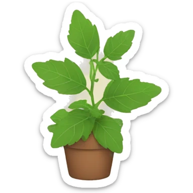 catnip plant no cat sticker