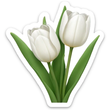 White tulips  sticker