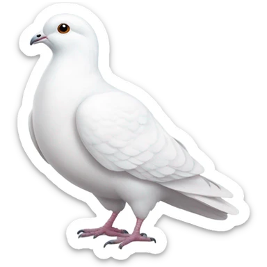 White pigeon  sticker