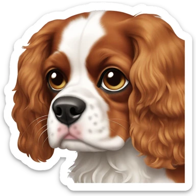 cavalier king Charlies spaniel  sticker