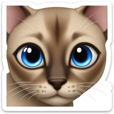 Brown Siamese cat blue eyes sticker