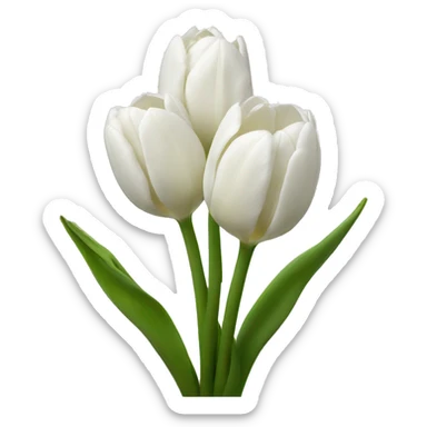 White tulips  sticker
