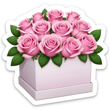 bouquet of pink 30 roses in a white box sticker