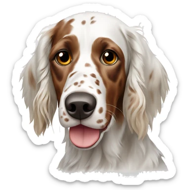 White and Brown english setter with Brown ear  sticker