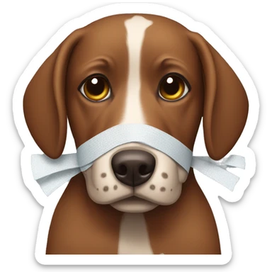 Brown dog wearing bandages sticker