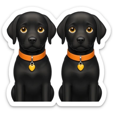 2 black labradors, yellow collar and orange collar sticker