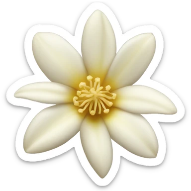 Vanilla flower sticker