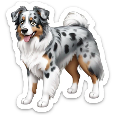 Blue Merle Mini Australian Shepherd sticker