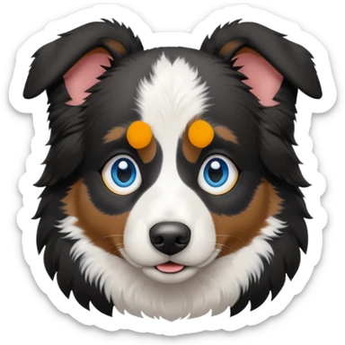 Black and white Australia Sheppard dog with blue eyes sticker