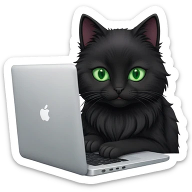 black cat with green eyes coding on laptop sticker