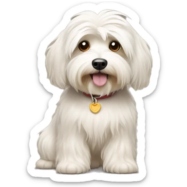 Havanese  sticker