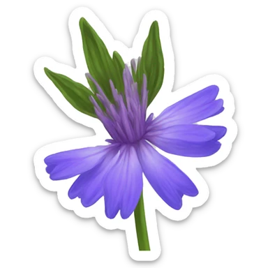 single bachelor's button flower sticker
