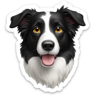 black and white border collie sticker