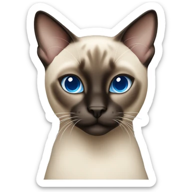 Siamese cat that’s also a shorthair with blue eyes  sticker