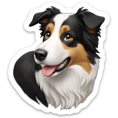 Border collie short coated sticker