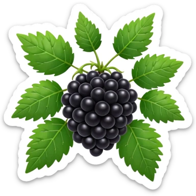 blackberry plant sticker