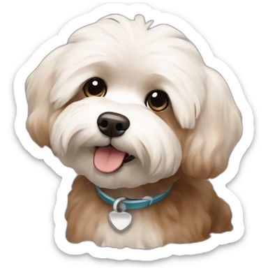 brown bichon-havanese sticker