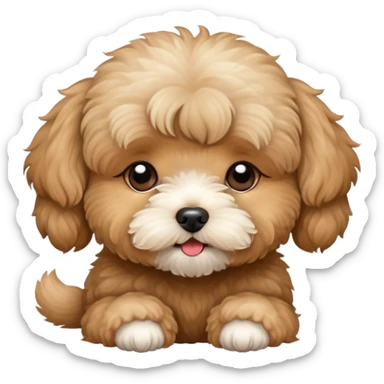  light brown maltipoo kiss sticker