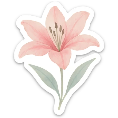 very detailed lily, delicate petals, vibrant pink and white hues, soft gradients, realistic botanical details sticker
