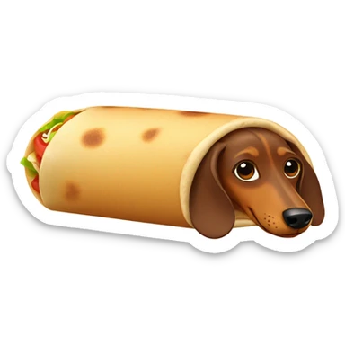 brown dachshund in a burrito  sticker
