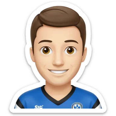 sheffield wednesday fc sticker