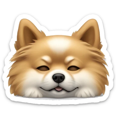 sleeping lying down pomeranian-spitz mix light brown and white with gray ears sticker