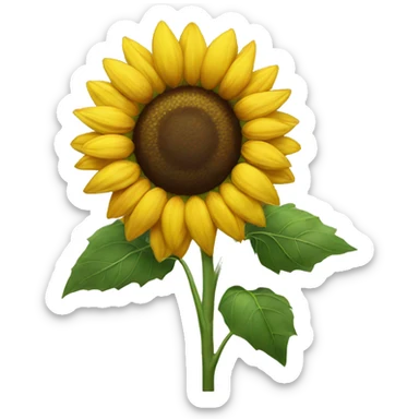 Sunflower  sticker