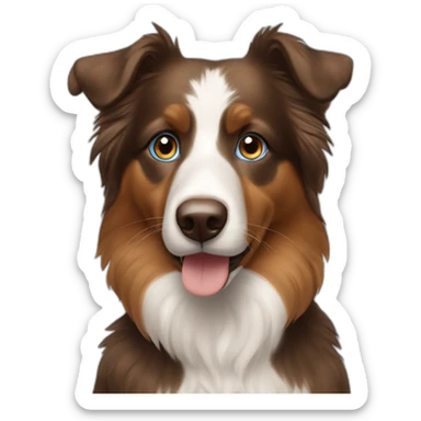 Berger australien brown tricolore blue eyes sticker