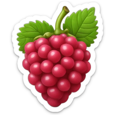 Framboise fruit sticker