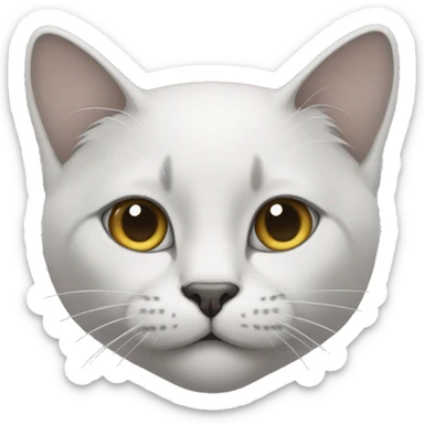 cat whose nose and the middle of its face are white and the rest of it is gray sticker