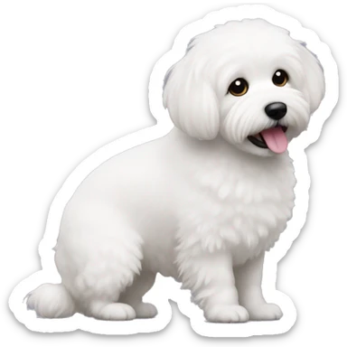 Bishon frise playing with a ball sticker