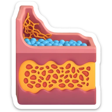 3D cross-section of a biological membrane with visible phospholipid bilayer, proteins, cholesterol, carbohydrate chains, rendered with depth, labeled components, educational and realistic style sticker