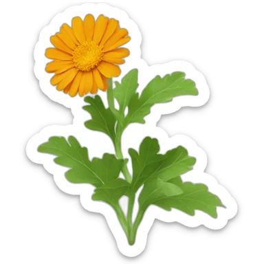 Calendula sticker
