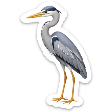 Grey Heron sticker
