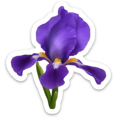iris flora in anemone sticker