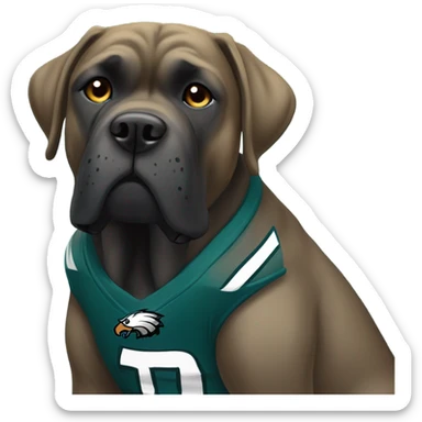 Cane Corso wearing an eagles jersey sticker