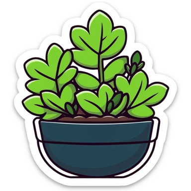 Sedum Pachyphyllum jelly bean plant succulent with thick tubular leaves sticker