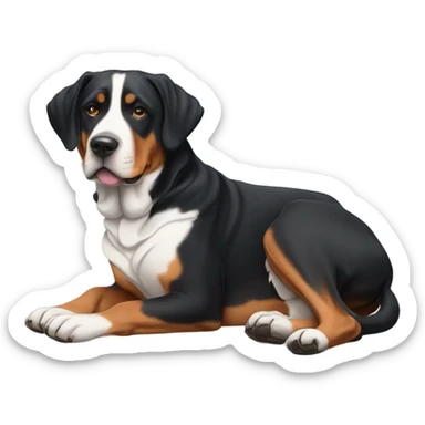 Swiss mountain dog laying on side sticker
