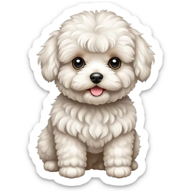 white maltipoo sticker
